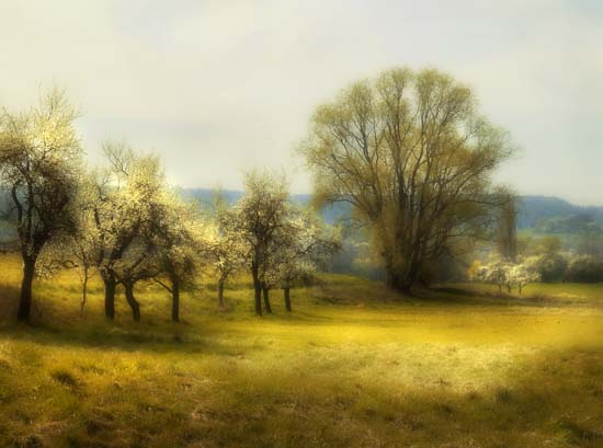 VER_070413_hk_soft_01_pk