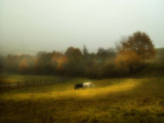 VER_0711102_hk_atzbach_31