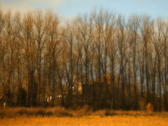 VER_15112006_soft (9)