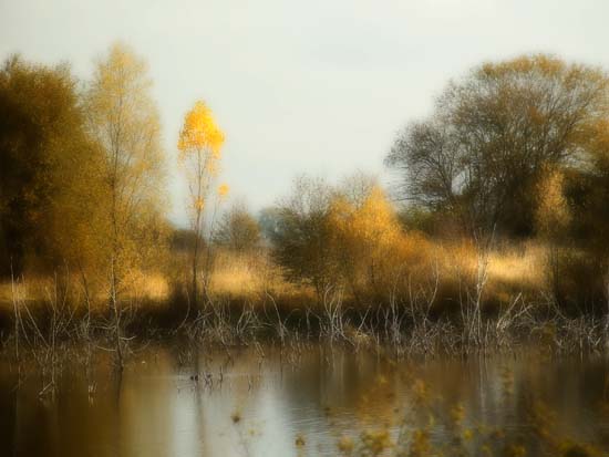 VER_30102006_soft (1)