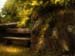 VER_070523_hk_dill_14_02