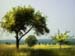 VER_070524_hk_lahn_11