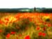 VER_070601_hk_lahn_10 _pk