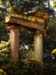 VER_070714_hk_wies__68