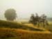 VER_071017_hk_wald_06