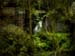 VER_0711102_hk_atzbach_23