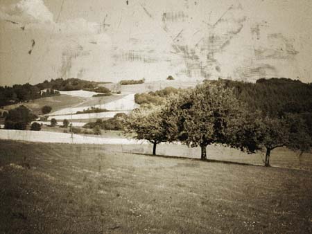 VER_060721_hk_swton_02