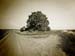 VER_060712_hk_swton_03