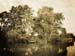 VER_060714_hk_swton_01