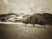 VER_060721_hk_swton_02