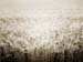 VER_060721_hk_swton_03